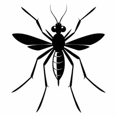 Mosquito vector silhouette black design white background