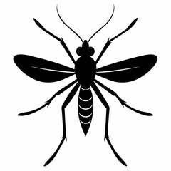Mosquito vector silhouette black design white background