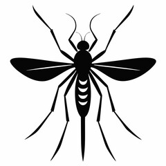 Mosquito vector silhouette black design white background
