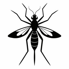 Mosquito vector silhouette black design white background
