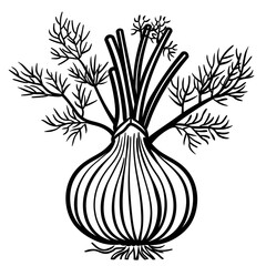 black and white fennel drawing with bulb and fronds, bold thick outlines, simple line art for coloring books, isolated on white background