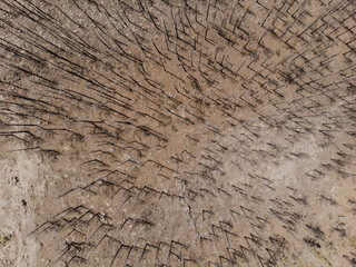 Aerial View of Textured Earth Surface