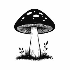 Black and White Mushroom Illustration: Whimsical Fungi Art for Rustic Farmhouse Decor in Eco-Friendly Style