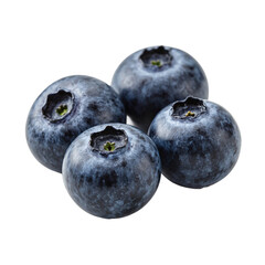 Fototapeta premium Delicious Fresh Four Blueberries Fruit Isolated Close Up High Quality Isolated Photo