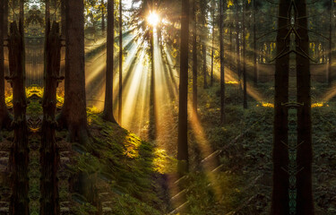 Fototapety na wymiar - Fototapeta24.pl