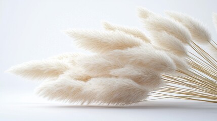 Fluffy white pampas grass arrangement