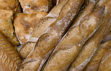 Various types of traditional homemade bread