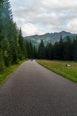 Rohacska dolina valley in Western Tatras mountains in Slovakia © honza28683