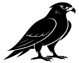 Fototapeta premium Falcon Silhouette Vector Design, Falcon SVG, Falcon Icon