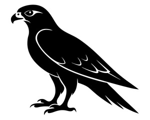 Fototapeta premium Falcon Silhouette Vector Design, Falcon SVG, Falcon Icon