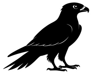 Falcon Silhouette Vector Design, Falcon SVG, Falcon Icon