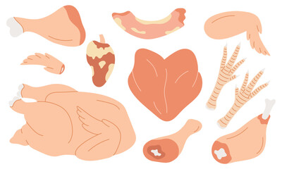 Chicken raw meat. Set of chicken meat parts, neck, breast, fillet, drumstick, heart, thigh, drumstick.