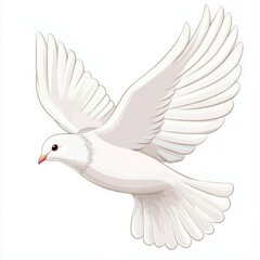 Fototapeta premium a white dove flying in the sky isolated on white background 