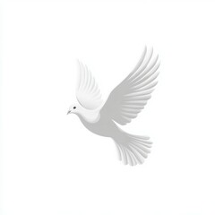 Fototapeta premium a white dove flying in the sky isolated on white background 