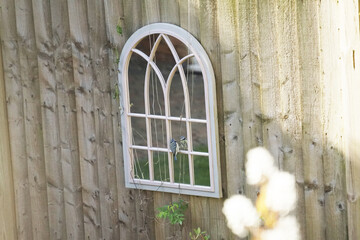 a blue tit watching the mirror in the garden fence