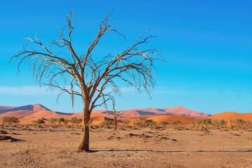Dead Camelthorn trees and red sandy dunes in Namib-Naukluft National Park, Namibia