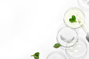 Natural organic skin care products swatch in petri dishes