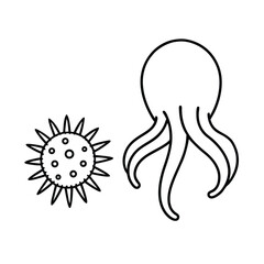 octopus urchin line art vector illustration
