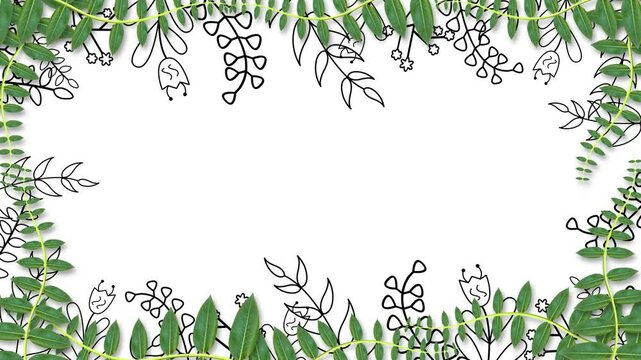 beautiful nature frame background with green wild plants leaves and animated black border plants. concept for wild theme and decoration.