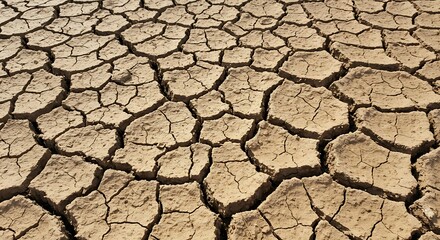 Texture Background for design or illustration