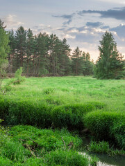 Lush green field with a river running through it