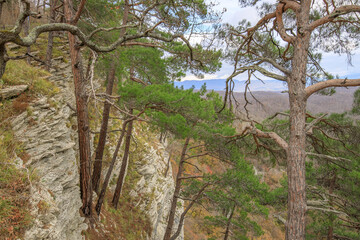 Fototapeta premium A rocky hillside with trees and a mountain in the background