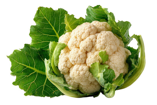 Fresh cauliflower head with green leaves on transparent background