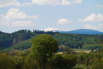 Obraz premium Snow-capped mountain towering over lush forest under blue sky.
