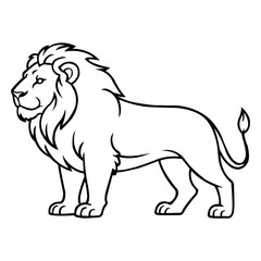 lion vector illustration