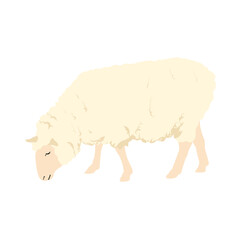 MOUTON BROUTE