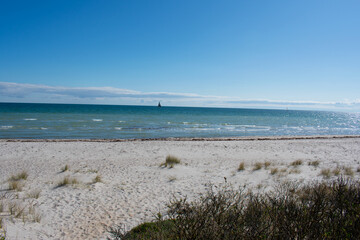 Obraz premium Beach in the morning. Sandy beach with low plants. Sea water glitters silver in the sun. Bright sunny day. Baltic Sea in spring.
