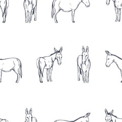 Hand-drawn donkey. Vector seamless pattern.  