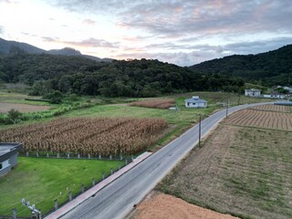 Planta&ccedil;&otilde;es e Montanhas em Santo Amaro da imperatriz