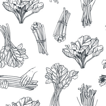 Hand-drawn rhubarb set. Vector seamless pattern. &nbsp;