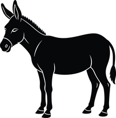 donkey isolated on white background