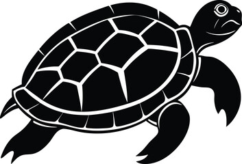 turtle vector illustration