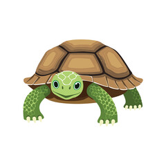 Cute Cartoon Turtle