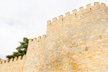 Knightly Impressions of &Aacute;vila&rsquo;s Fortified City Walls