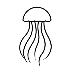 jelly fish line art vector illustration