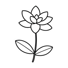 jade plant flower line art vector art illustration