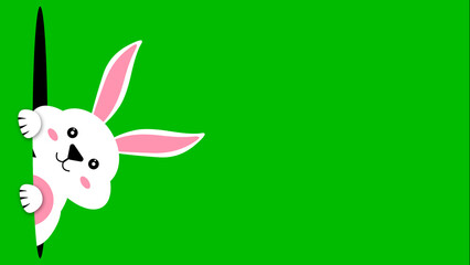 Fototapeta premium white bunny looking from black hole with big pink ear on green screen. concept illustration for easter holiday.