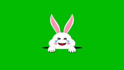 laughing easter bunny looking from black hole on Green background. concept for easter holiday with fun and joy.