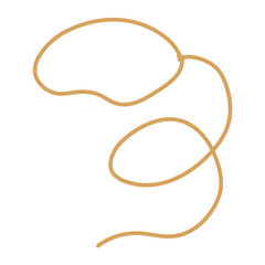 Lasso rope. Vector illustration.