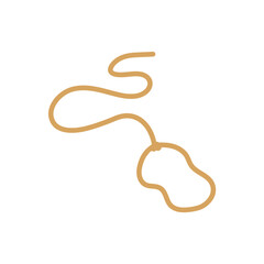 Lasso rope. Vector illustration.