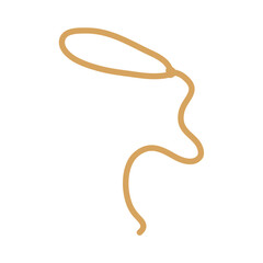 Lasso rope. Vector illustration.