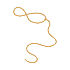 Lasso rope. Vector illustration.