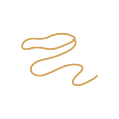 Lasso rope. Vector illustration.