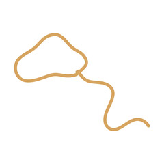 Lasso rope. Vector illustration.