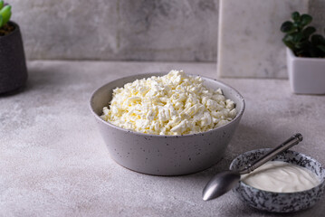 Cottage cheese on light background
