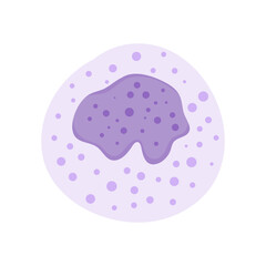 Blood cells leukocytes